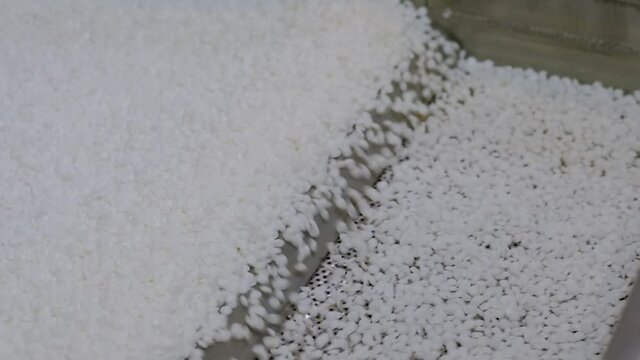 Waste plastic recycling machine: white recycled plastic granules - propylene or polyethylene pellets on shale shaker, conveyor belt - close up. Separation, automated technology concept