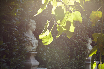 Statue and tree in Padova botanic garden - obrazy, fototapety, plakaty