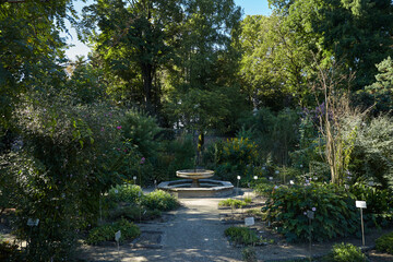 Padova botanic garden with fountain