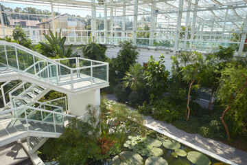 Greenhouse in the botanic garden of Padova - obrazy, fototapety, plakaty