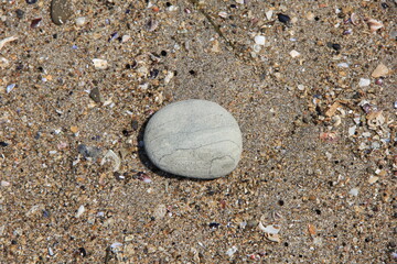 砂地の上にある、丸みのある石