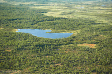 Fototapeta na wymiar Aeriel view to Kiruna wilderness from helicopter with small lake or pond in the middle of the swamps and trees in far north of Swedish Lapland.