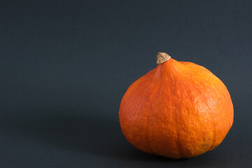 pumpkin on a dark green background autumn, autumn season