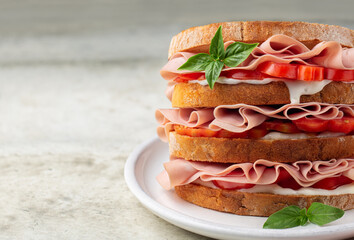Close-up of italian deli sandwich with mortadella, soft cheese Stracchino and tomatoes.. Copy space.