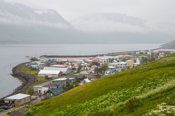 Fototapeta na wymiar Town of Sudureyri in sugandafjordur in Iceland