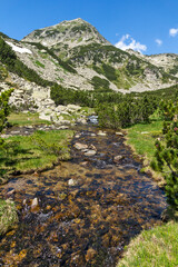 Fototapeta na wymiar Small Mountain river near Muratovo lake, Pirin Mountain, Bulgaria