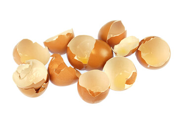 broken eggshell isolated on white background