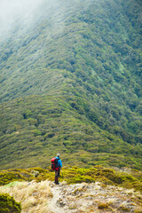 Fototapeta na wymiar Tramper standing above bush covered ridge line on Southern Crossing route, Tararua Forest Park