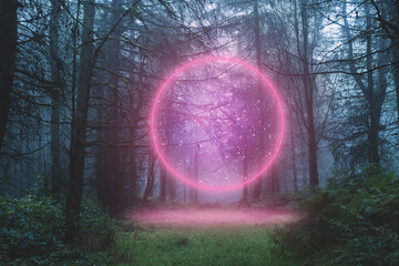 A fantasy concept. Of a glowing neon portal. Glowing in a mysterious misty forest in winter. © Dave