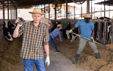Fototapeta na wymiar Positive male farm worker with group of farmers feeding cows in stall at livestock breeding farm