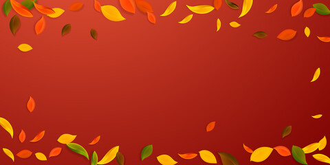 Naklejka na ściany i meble Falling autumn leaves. Red, yellow, green, brown c