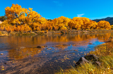 Beautiful autumn colors on Rio Grande river flowing through New Mexico - 452399227