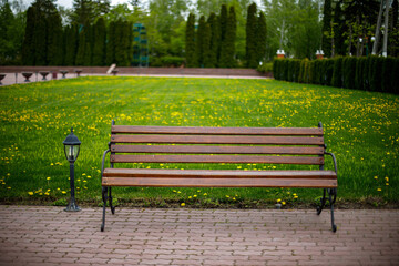wooden bench on a background of green grass