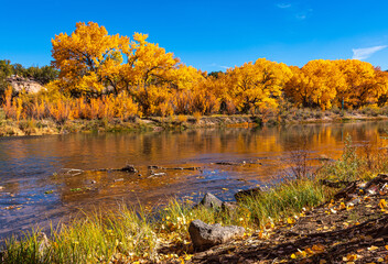 Rio Grande River with Brilliant autumn colors - 452399660