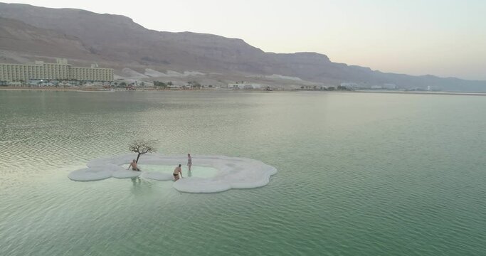 Aerial view of a tree in the middle of the lake along the Dead Sea shoreline during sunset, Negev, Israel.