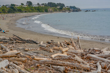 Driftwood on beautiful Harris Beach State Beach on the Pacific Ocean, in Brookings, Curry County, Oregon