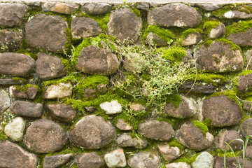 Stone Wall With Moss 001