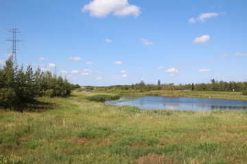Fototapeta na wymiar Mid Summer On The Wetlands, Pylypow Wetlands, Edmonton, Alberta