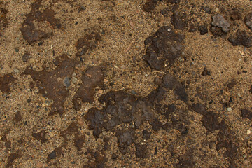 Sand and Brown Rock Ground Texture 001