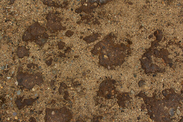 Sand and Brown Rock Ground Texture 002
