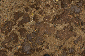 Sand and Brown Rock Ground Texture 003