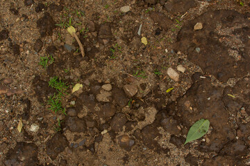 Sand and Brown Rock Ground Texture 004