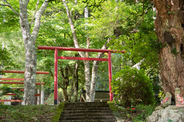 山里の鳥居 / Torii Gateway in the Countryside