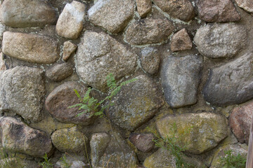 Rock Wall with Plants in Front