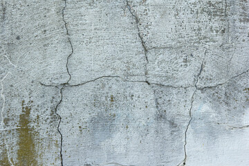 Cracked Brushed Gray Moldy Rock Texture 002