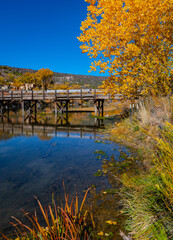 Wooden bridge and beautiful autumn colors of cottonwood trees on Rio Grande river flowing through New Mexico - 452403207