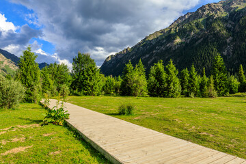 Beautiful mountain and green grassland with forest in Xiata Scenic Area,Xinjiang,China.