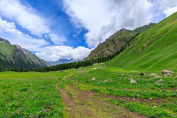 Plakat A walking path leads to distant mountains.beautiful natural scenery in Xiata Scenic Area,Xinjiang,China.
