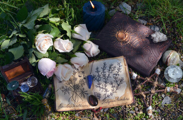 Still life with diary with botanical drawings on pages, crystals and pentagram on the grass.