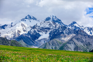 Fototapeta premium White glaciers and green grasslands in the Tianshan Mountains,Xinjiang,China.