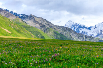 Fototapeta na wymiar White glaciers and green grasslands in the Tianshan Mountains,Xinjiang,China.
