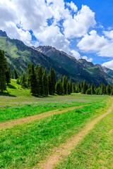 Fototapeta premium Beautiful natural scenery in Xiata Scenic Area,Xinjiang,China.