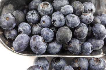 macro closeup of ripe blueberries in a baker's scoop isolated on white