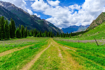 Fototapeta premium A walking path leads to distant mountains.beautiful natural scenery in Xiata Scenic Area,Xinjiang,China.