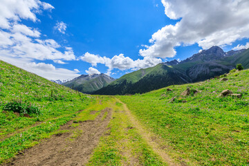 Plakat A walking path leads to distant mountains.beautiful natural scenery in Xiata Scenic Area,Xinjiang,China.
