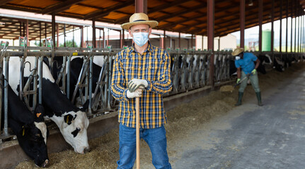 Fototapeta na wymiar Portrait of a young male farmer in a protective mask standing in a cowshed during a pandemic