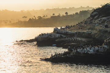 La Jolla Cove Sunrise on the California Coast!