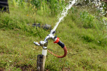 tap watering the green grass, watering the lawn