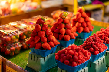 カナダ・バンクーバーの観光名所を旅行する風景Scenes from a trip to the sights of Vancouver, Canada.