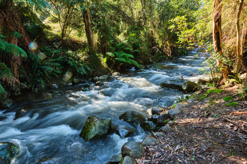 Long Exposure Photography at Badger Creek Weir