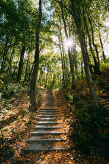 Obraz premium Yurovichi, Belarus. Stairs On Carpet Of Upper Period Of The Paleolithic (26 Thousand Years Ago), Which Occupying Terraced Slope Of Left Bank Of Pripyat River