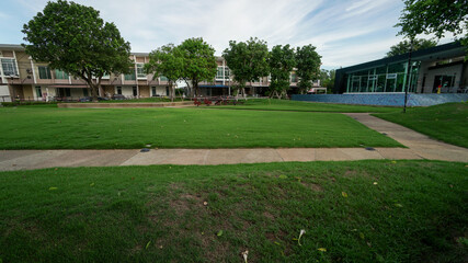 Obraz premium park in the city