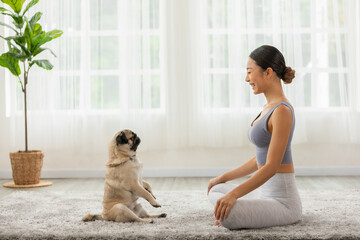 Beautiful Asian woman practice yoga lotus pose with dog pug breed enjoy and relax with yoga at...