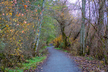Fototapeta premium カナダのヴィクトリアの観光名所を旅行している風景 Scenes from a trip to the sights of Victoria, Canada. 