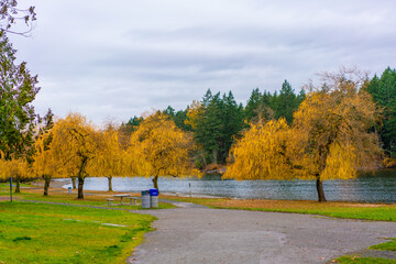 カナダのヴィクトリアの観光名所を旅行している風景 Scenes from a trip to the sights of Victoria, Canada. 