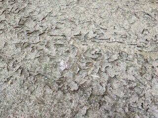 soil texture